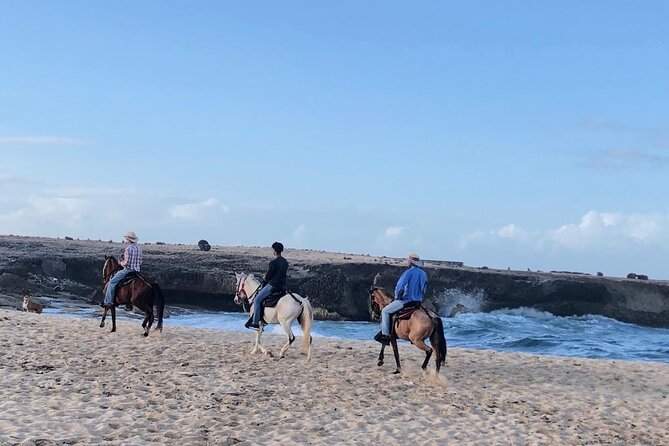 2-Hour Horseback Riding Tour to Little Natural Bridge in Aruba - Horses and guides: what “matching” really means for your comfort