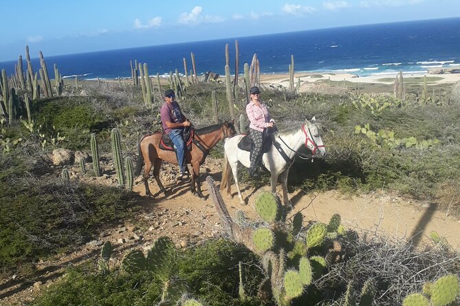 2-Hour Horseback Riding Tour to Little Natural Bridge in Aruba - What to wear and bring when Aruba sun is doing its job