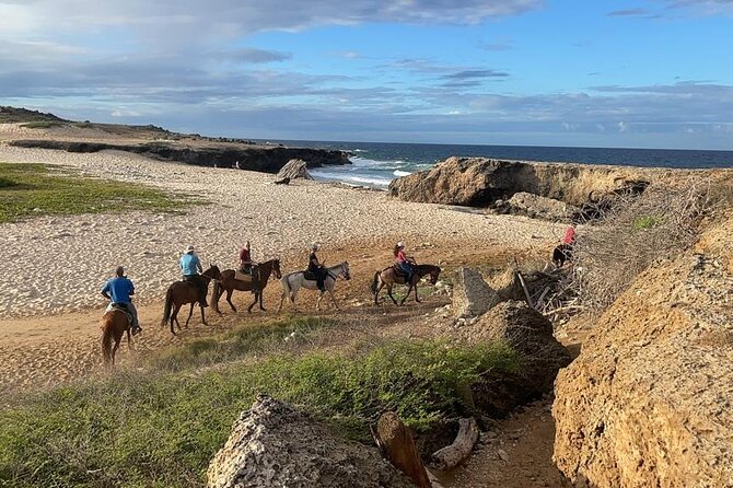 2-Hour Horseback Riding Tour to Little Natural Bridge in Aruba - Who should book this ride (and who should think twice)