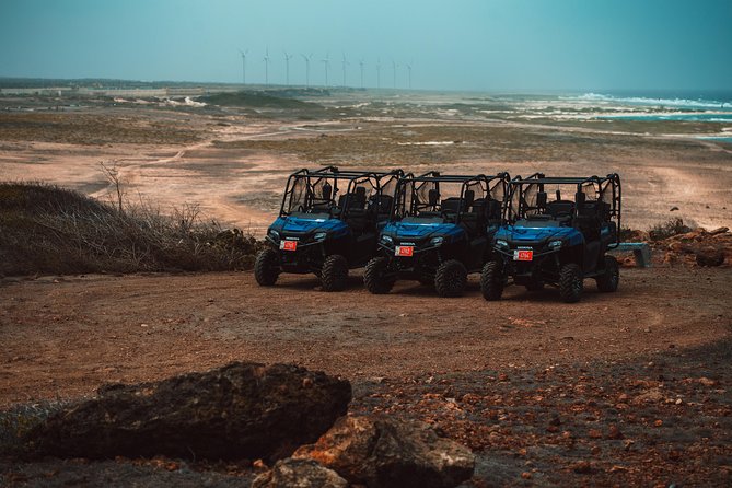 4 seat UTV Rental Adventure - Who Should Book This UTV Rental (and Who Might Want a Jeep Instead)