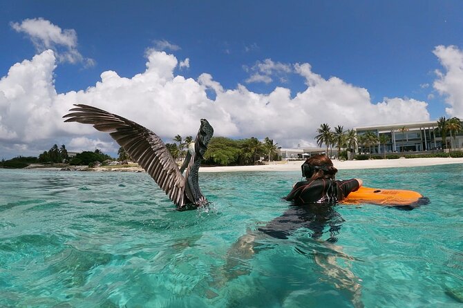 Antilla Shipwreck Seabob Tour - Stop 1 at Adventure Sports Aruba: Gear, Bathroom Break, and Seabob Coaching