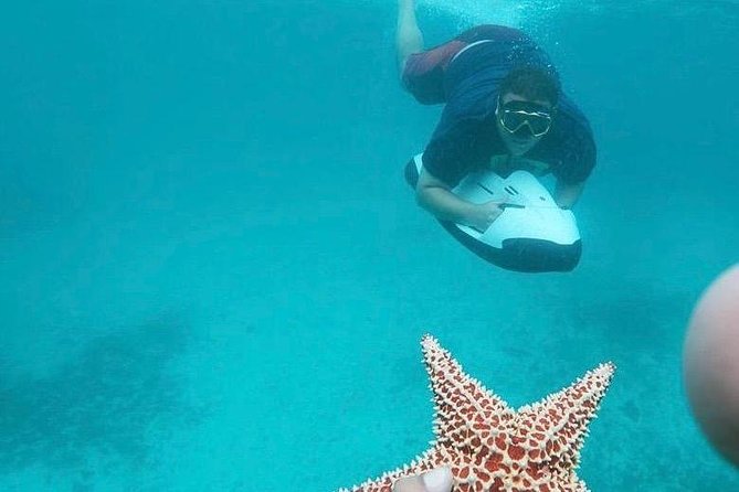 Antilla Shipwreck Seabob Tour - Tres Trapi Steps: Red Cushion Starfish on White Sand