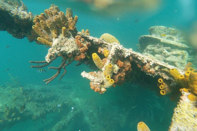 Antilla Shipwreck Seabob Tour - The Main Event: Exploring the Antilla Shipwreck Off Arashi Beach