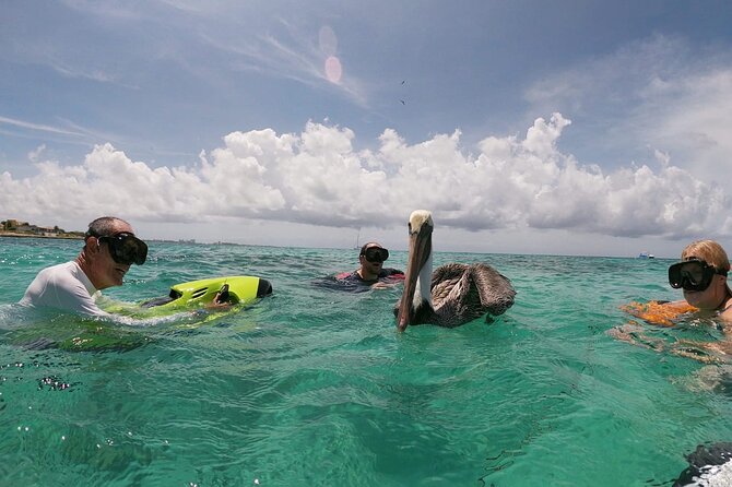 Antilla Shipwreck Seabob Tour - Comfort, Safety, and the Real-World Tips That Matter