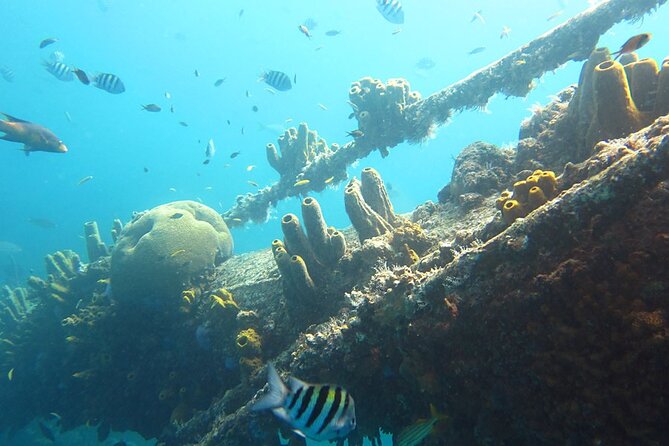 Antilla Shipwreck Seabob Tour - The 2.5-Hour Rhythm: From Setup to Arashi Beach Shack