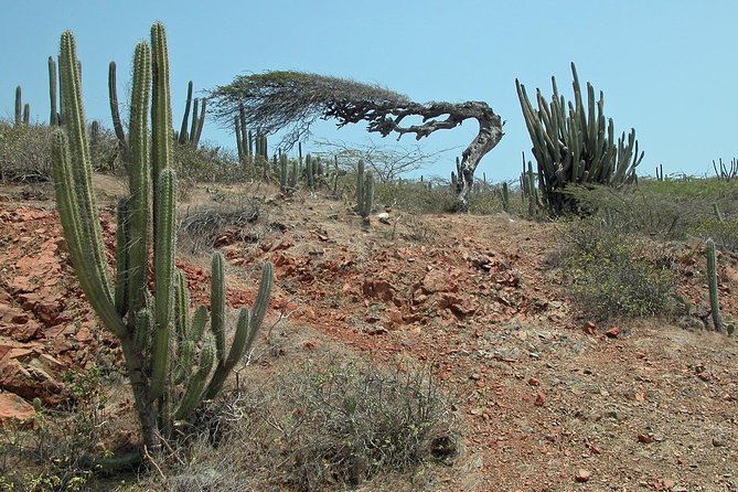 Arikok Adventurous Hiking Experience in Aruba - Price and value: what $57 includes, and what you’ll spend anyway