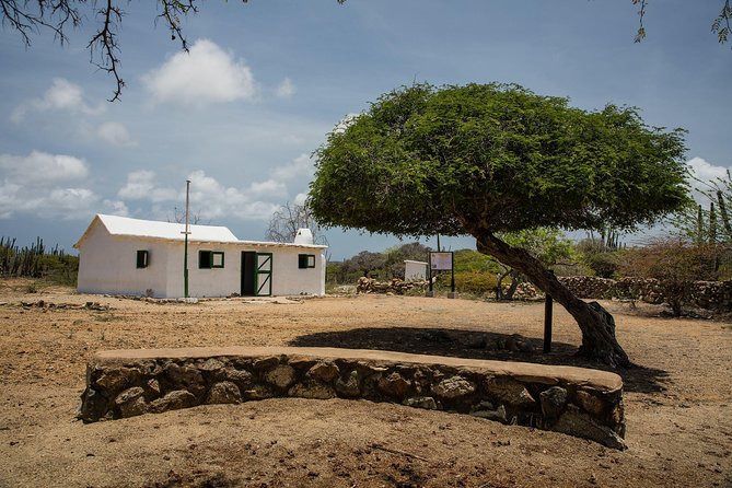 Arikok Adventurous Hiking Experience in Aruba - Guide style matters: park ranger escort, or a company guide experience?