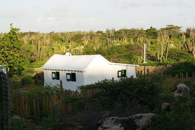 Arikok Adventurous Hiking Experience in Aruba - Who this hike suits best on an Aruba trip (and who should think twice)