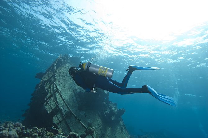 Aruba 2-Tank Dive Excursion for Certified Divers - Where this trip starts: Bucutiweg 20 and a boat you actually reach easily
