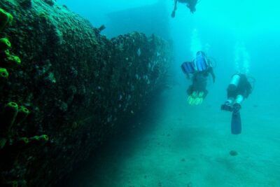 Aruba 2-Tank Dive Excursion for Certified Divers - The two-tank plan: what the 4 hours usually feel like