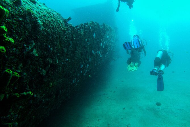 Aruba 2-Tank Dive Excursion for Certified Divers - The two-tank plan: what the 4 hours usually feel like
