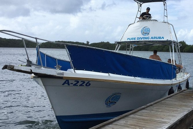 Aruba 2-Tank Guided Dive for Certified Divers / rental equipment - 2-Tank Aruba Scuba Plan for Certified Holders: What $144 Gets You