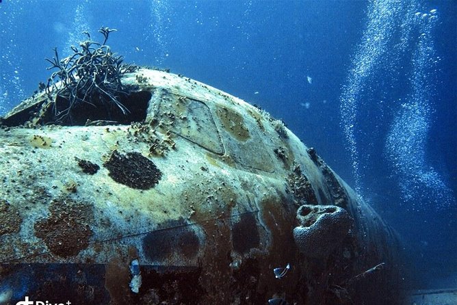 Aruba 2-Tank Guided Dive for Certified Divers / rental equipment - Stop 2 to 3: Reef and Wreck Options (Your Best Aruba Highlights)