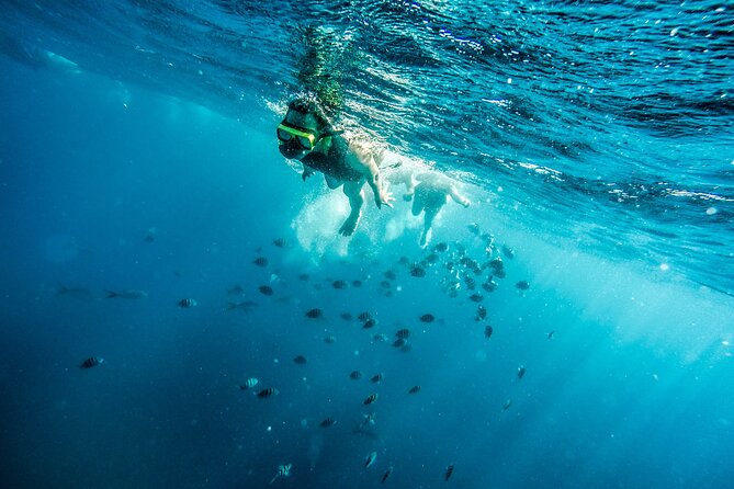 Aruba Afternoon Snorkel Sail aboard Palm Pleasure Catamaran - Drinks and Snacks That Actually Help Your Afternoon
