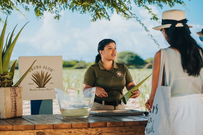 Aruba Baby Beach Express Tour - Quick takeaways before you go