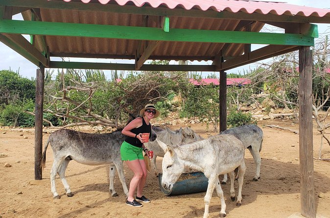 Aruba Baby Beach Express Tour - Should You Book Aruba Baby Beach Express?