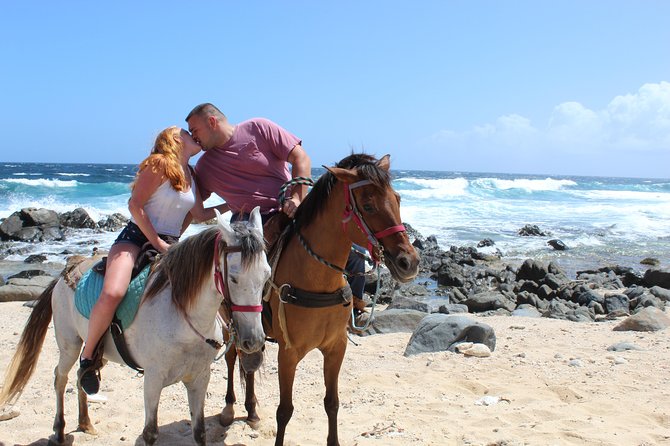 Aruba Beach Ecological Horseback Ride - Starting at Safir: orientation, mounting help, and what you’ll wear