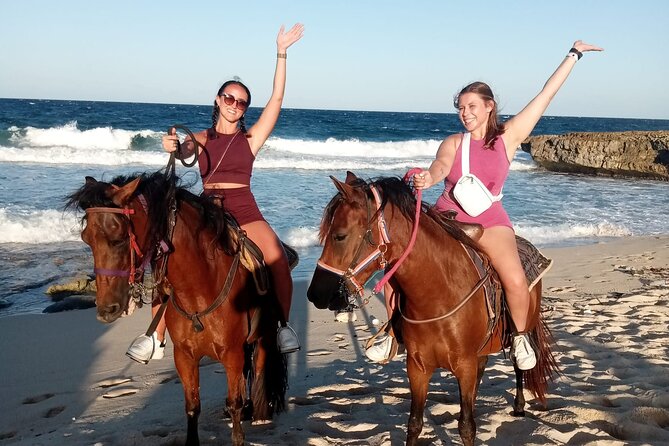 Aruba Beach Ecological Horseback Ride - The ecological trail: cacti, rock, and that desert-to-sea shift