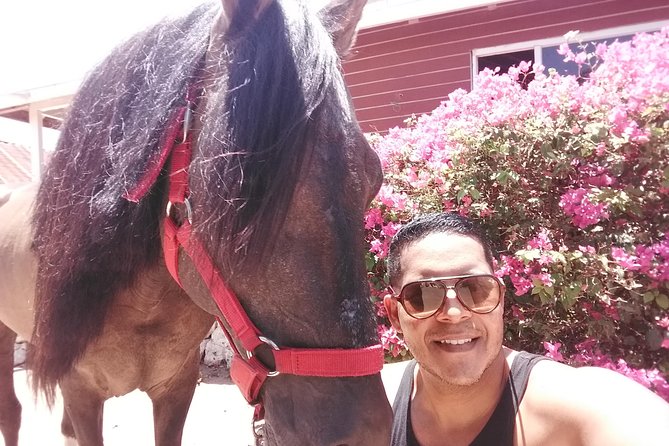 Aruba Beach Ecological Horseback Ride - Riding with the guides: safety first, calm pacing, and real matching
