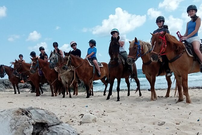 Aruba Beach Ecological Horseback Ride - Horses and comfort: well-kept animals, but the trail is still real