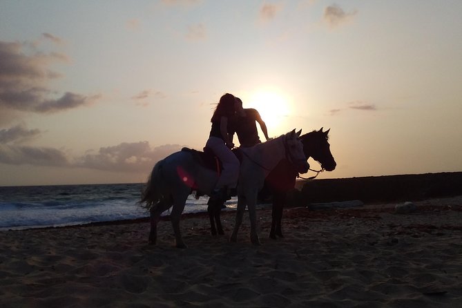 Aruba Beach Ecological Horseback Ride - What to bring (and what to skip)