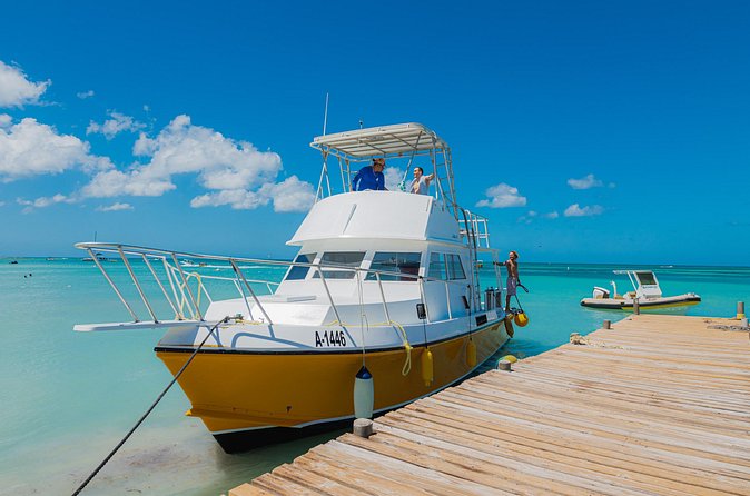 Aruba Certified Scuba Diving - Marine life you can actually look for off Aruba’s coast