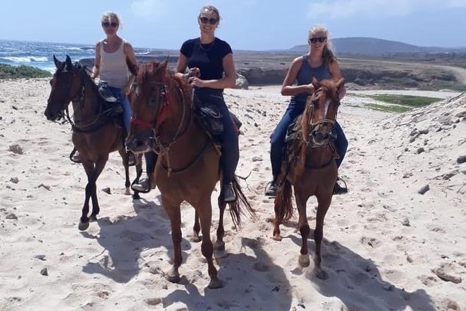 Aruba Countryside: Horseback Adventure to Urirama Cove - Key things to know before you go