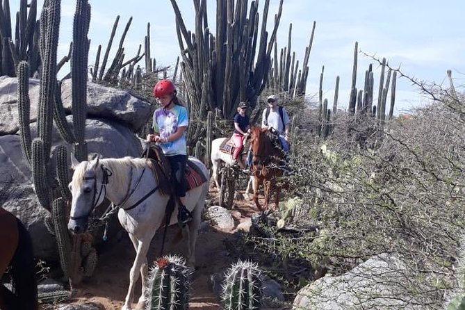 Aruba Countryside: Horseback Adventure to Urirama Cove - Timing and logistics: pickup windows, ranch arrival, and staying on schedule