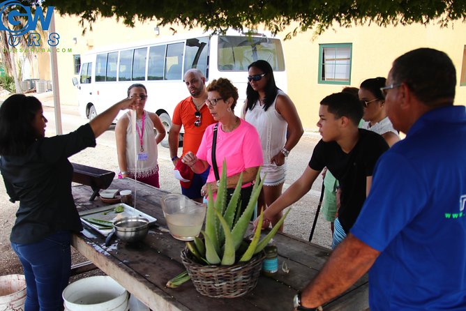 Aruba Countryside Tour - Stop 4: Aruba Aloe Factory, Museum, and Store (included admission)