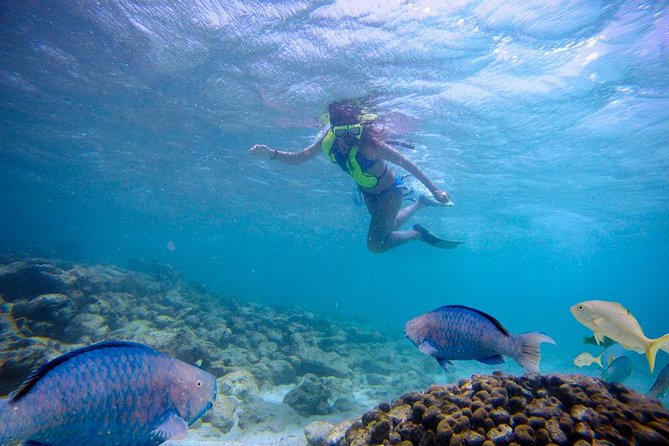 Aruba De Palm Island Day Pass - Flamingos and Premium Upgrades: Where the Free Ticket Ends