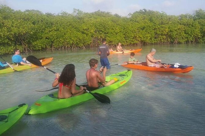 Aruba Glass Bottom Kayak Tour through the Mangrove Forest - Mangel Halto to start: quieter Aruba, real sea views