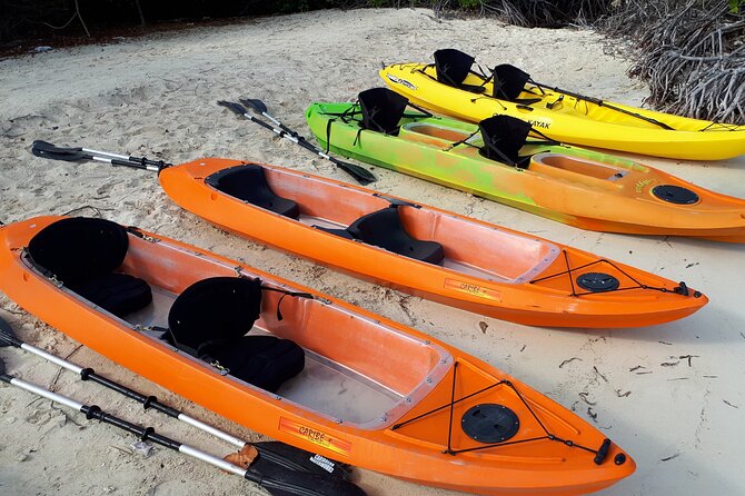 Aruba Glass Bottom Kayak Tour through the Mangrove Forest - Santo Largo: mangrove giants and a break away from crowds