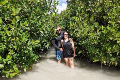 Aruba Glass Bottom Kayak Tour through the Mangrove Forest - The 2-mile glass-bottom kayak: what you’re paying for (and what you might not see)