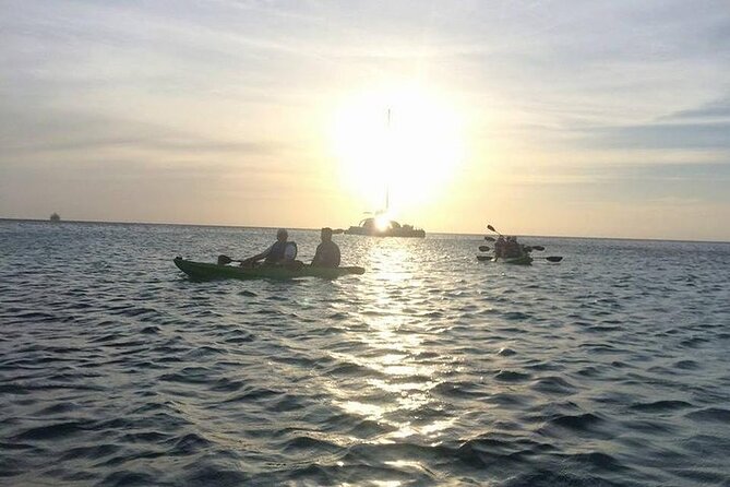 Aruba Glass Bottom Kayak Tour through the Mangrove Forest - Price and value: is $70 worth it for Aruba glass-bottom kayaking?