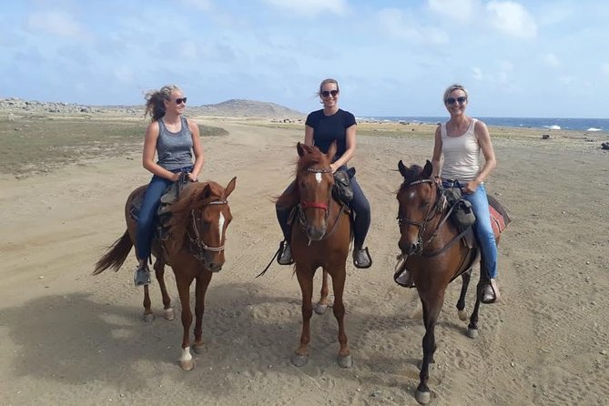 Aruba Horseback Riding Tour For Advanced Riders - Key moments I’d plan around