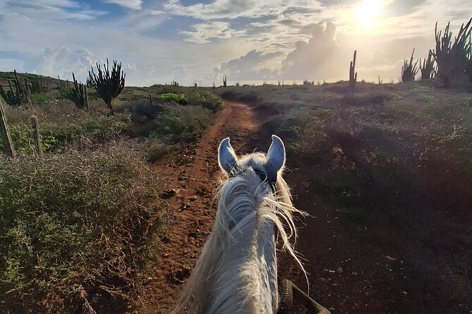 Aruba Horseback Riding Tour For Advanced Riders - The itinerary’s big arcs: ranch trails, then Aruba’s countryside to the coast
