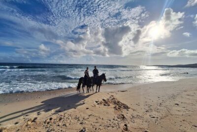 Aruba Horseback Riding Tour For Advanced Riders - Advanced on paper vs. advanced in real life (the key expectations)