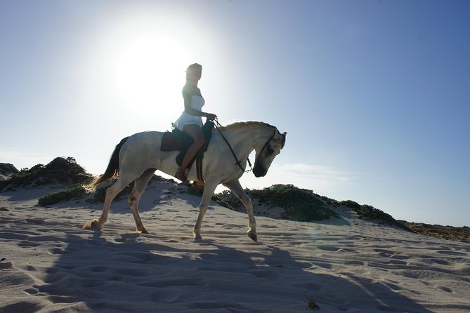 Aruba Horseback Riding Tour For Advanced Riders - Horses and guides: what makes the ride feel smooth