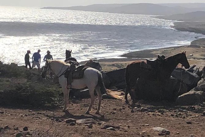 Aruba Horseback Riding Tour For Advanced Riders - Small group size: why max 5 travelers is a double-edged sword