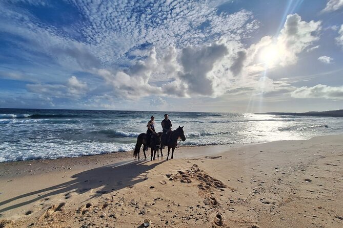 Aruba Horseback Riding Tour For Advanced Riders - Advanced on paper vs. advanced in real life (the key expectations)