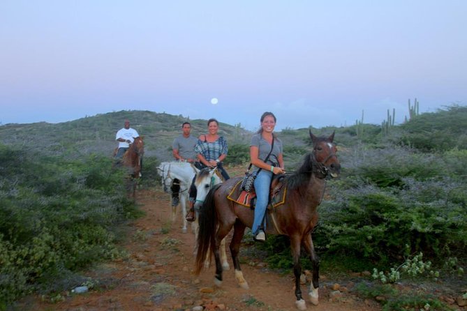 Aruba Horseback Riding Tour to Hidden Lagoon - Key things to know before you go