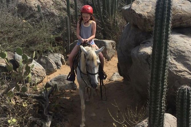 Aruba Horseback Riding Tour to Hidden Lagoon - What the trail feels like: quiet Cunucu riding, no street drama