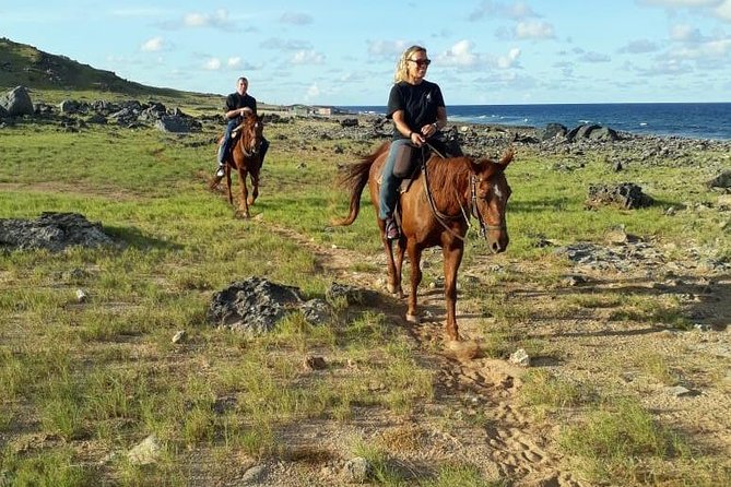 Aruba Horseback Riding Tour to Hidden Lagoon - The hidden lagoon stop: wildlife spotting and photo moments