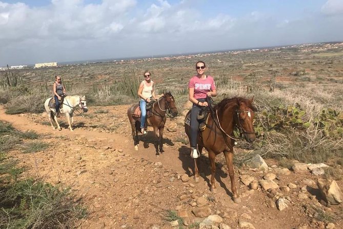 Aruba Horseback Riding Tour to Hidden Lagoon - Small-group size: why max 5 riders changes everything