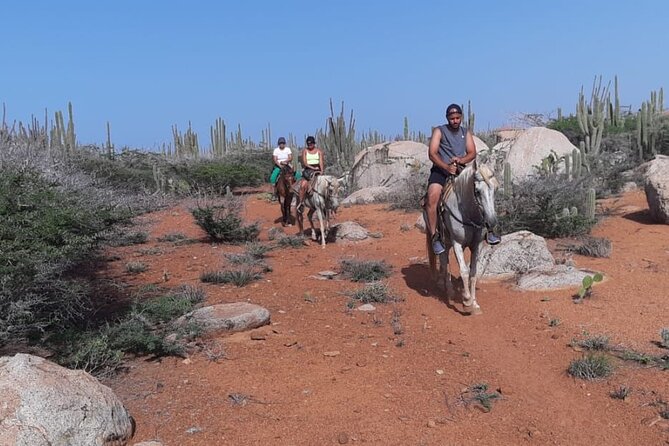 Aruba Horseback Riding Tour to Hidden Lagoon - Price and value: is $105 worth it?