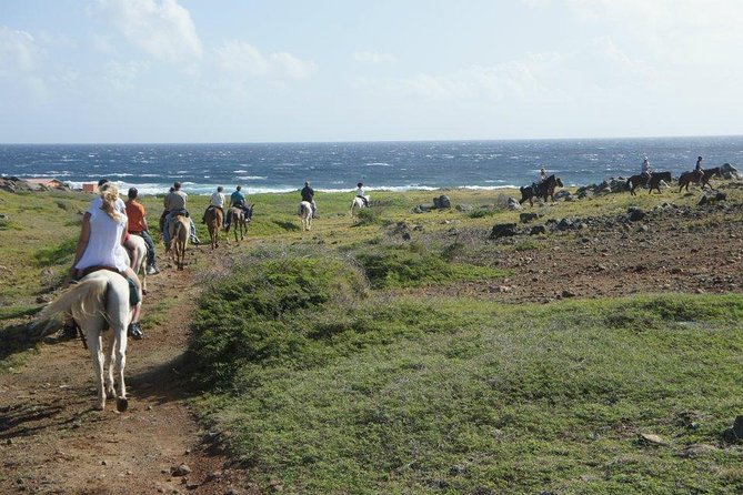 Aruba Horseback Riding Tour to Hidden Lagoon - Choosing the right ride time: mornings, late afternoons, and the hot-factor