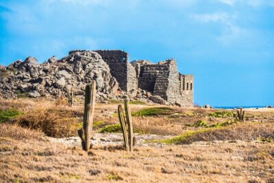 Aruba Island Sightseeing Tour - Stop 1: Aruba Aloe Factory, Museum and Store (45 Minutes That Adds Context)