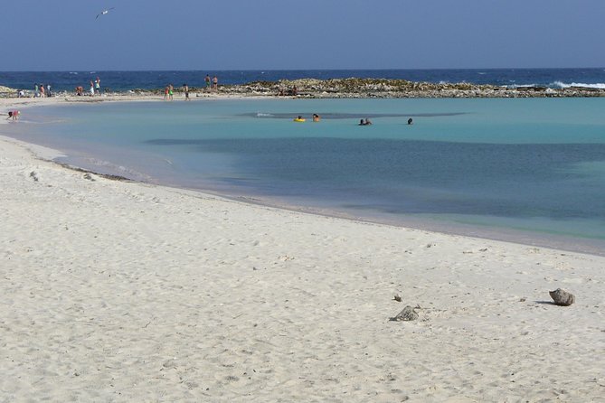 Aruba Mangel Halto and Baby Beach Snorkeling Guided Tour - Why this Aruba two-beach snorkel day is solid value