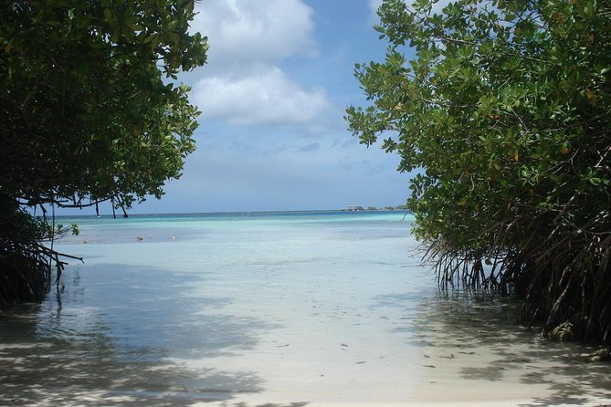 Aruba Mangel Halto and Baby Beach Snorkeling Guided Tour - Stop 2: Baby Beach for fish-filled snorkel time and beach amenities