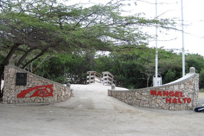 Aruba Mangel Halto and Baby Beach Snorkeling Guided Tour - The schedule reality: how the day flows in 5 hours
